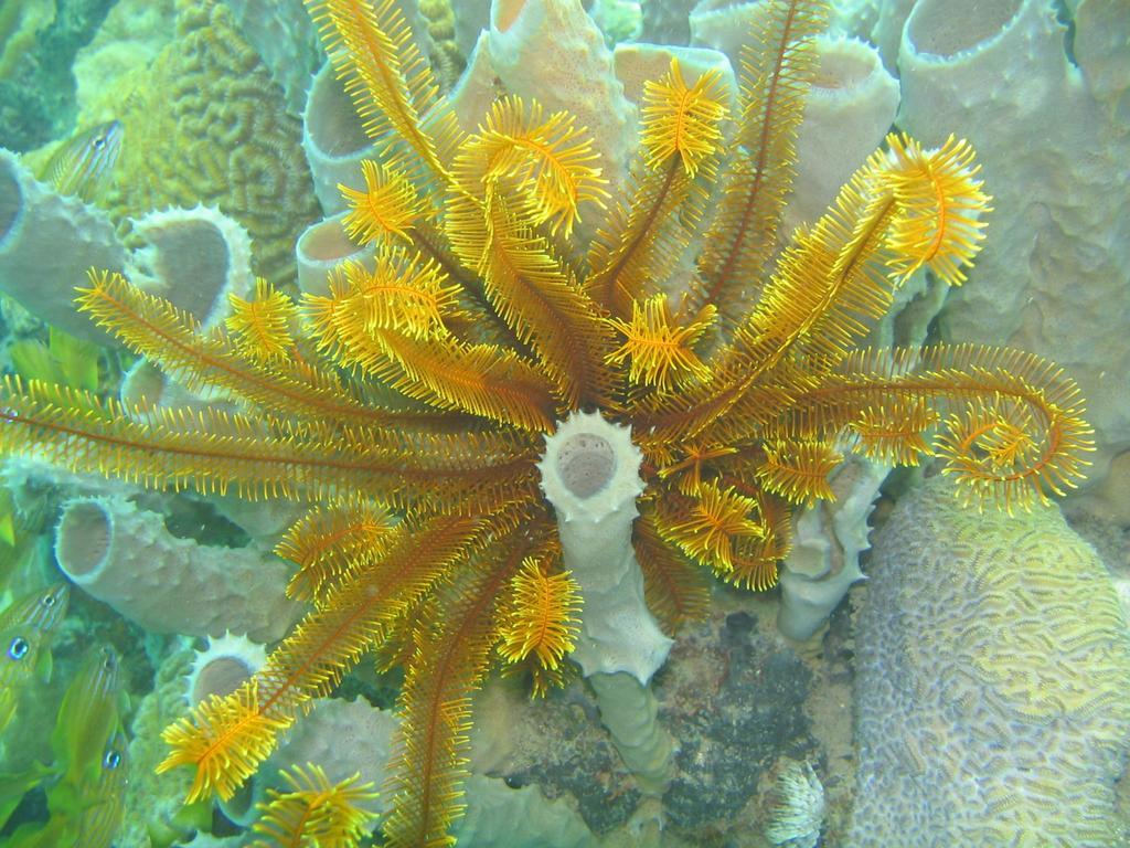 סאליסבורי Sunset Bay Club & Seaside Dive Resort מראה חיצוני תמונה